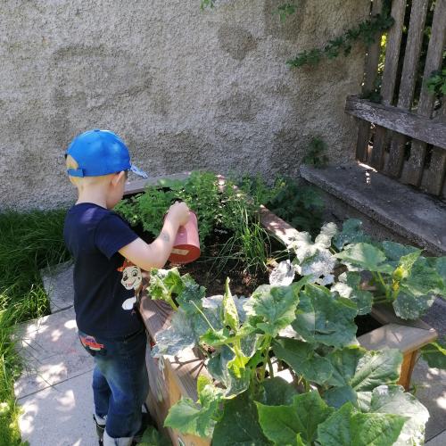 Unser Hochbeet 