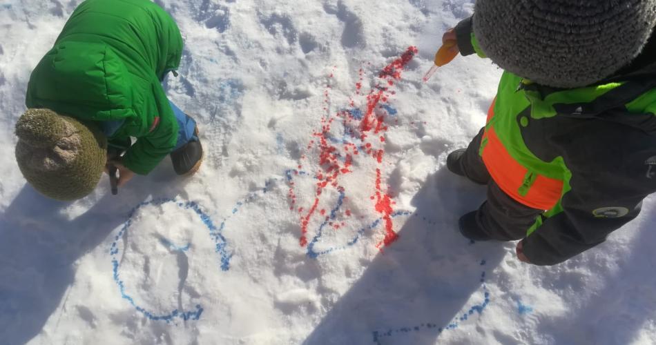 Experimente im Schnee